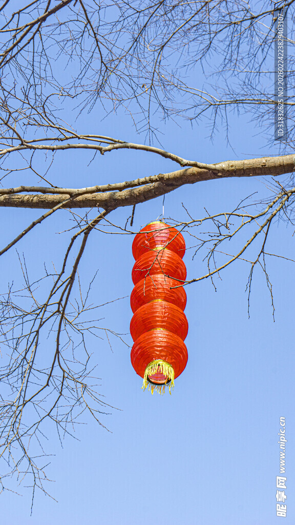 枝头红灯笼 尽显中式韵味