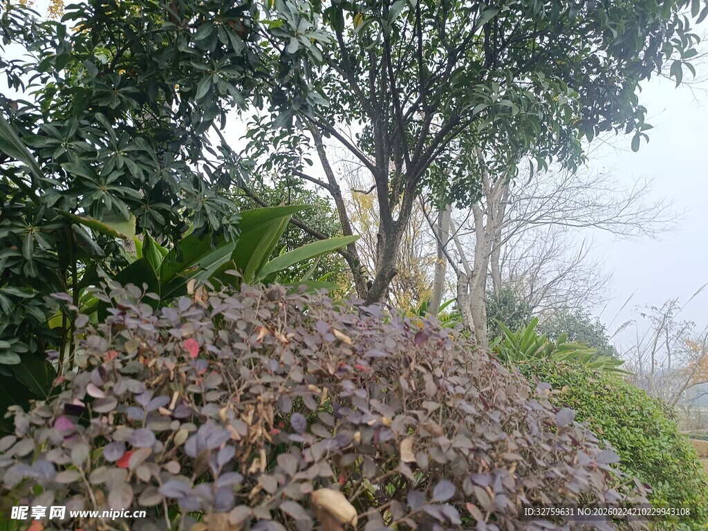 户外绿植景观一角