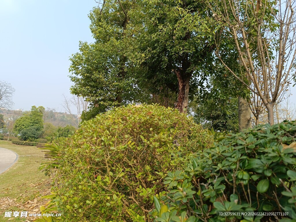 户外绿意盎然的园林景致