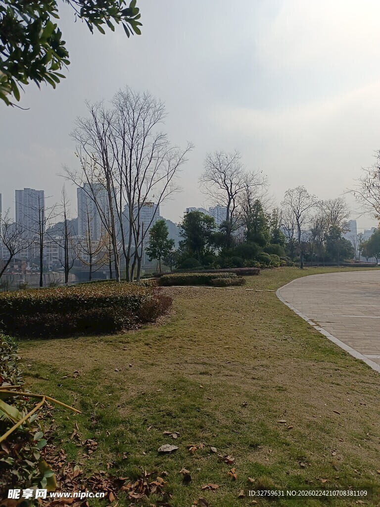 城市公园的开阔草地景观