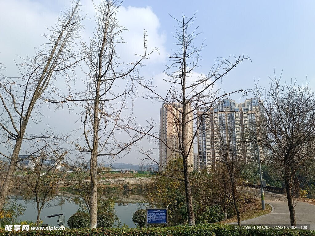 冬日城郊河畔萧瑟景致