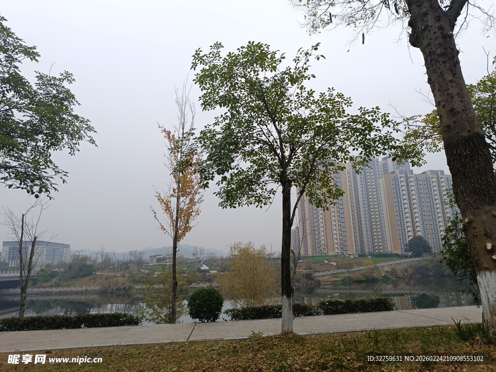 城市公园秋日风景