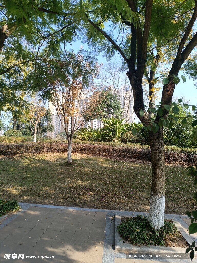 公园绿树成荫的休闲小径