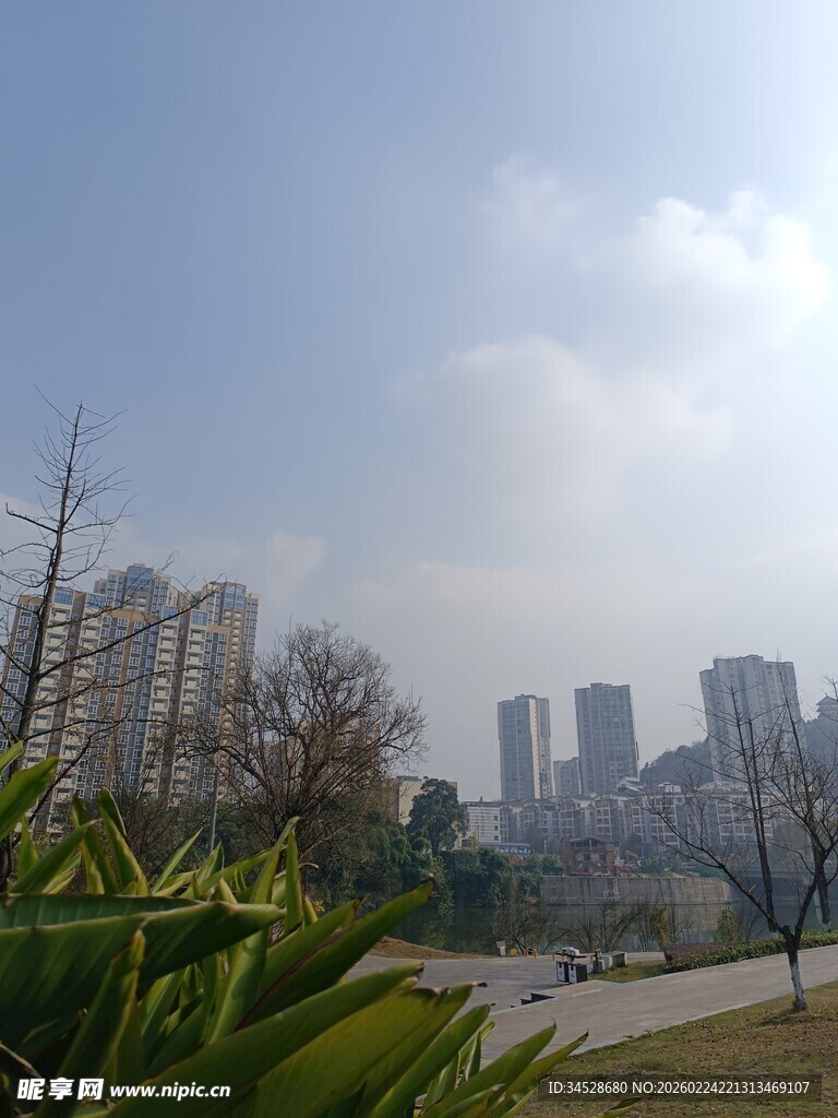 城市公园与远处高楼景观