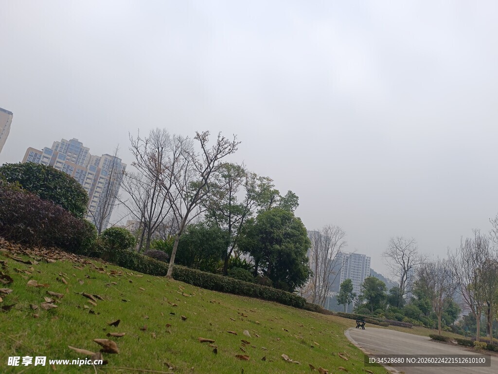 城市公园的宁静景致