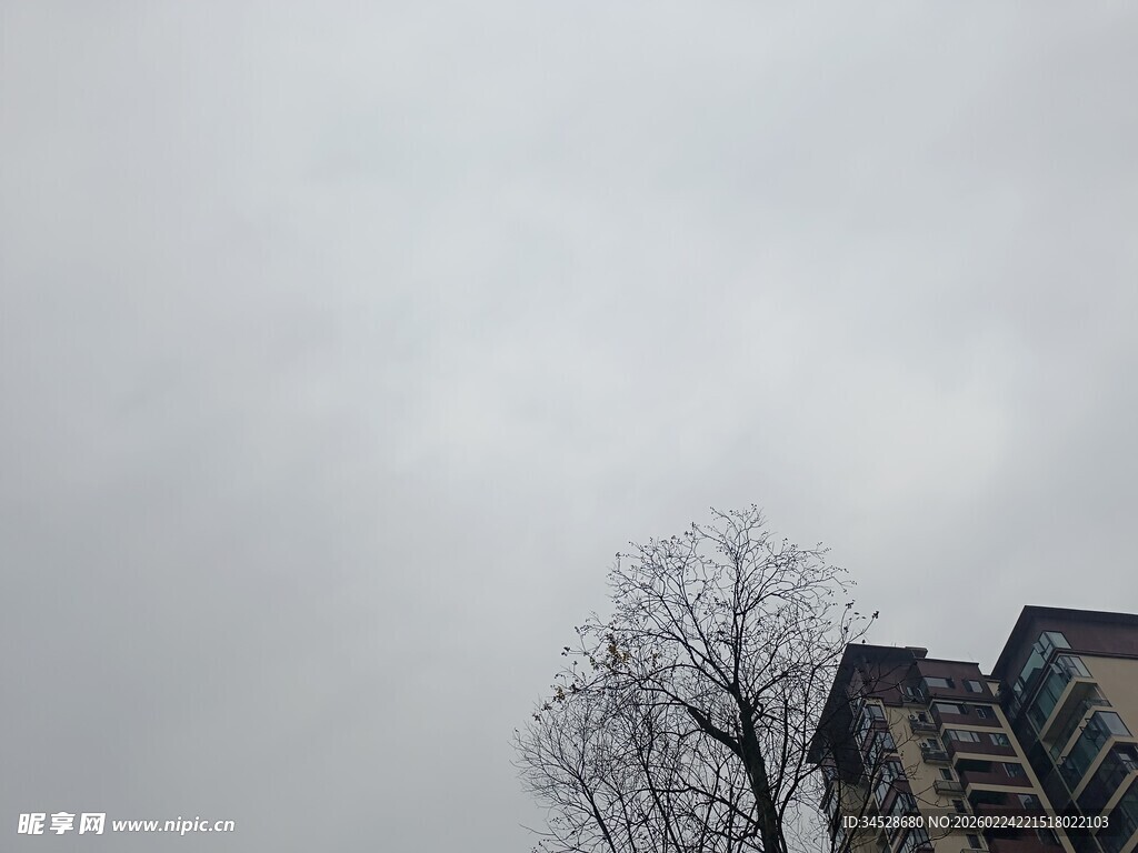 阴天里的楼与光秃树木