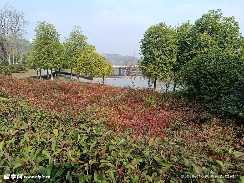 秋日多彩植物景观