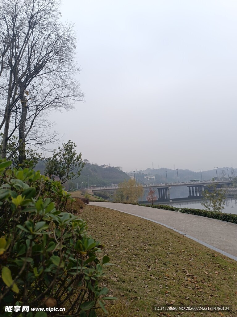 郊外冬日小路风景