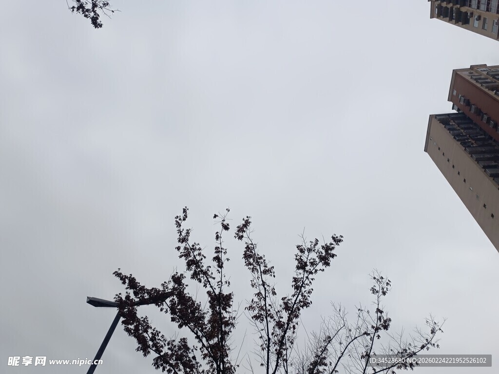 空中视角下的树与建筑