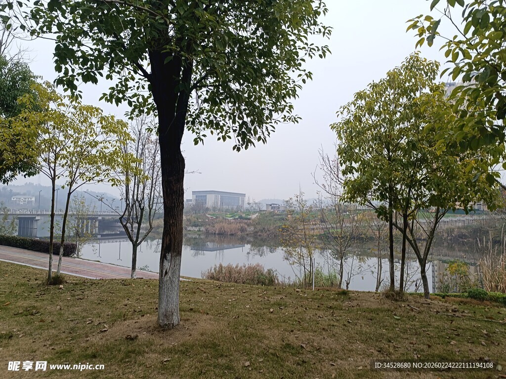 湖畔绿树风景如画