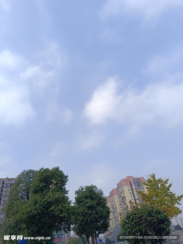 城市天际线与绿树景观