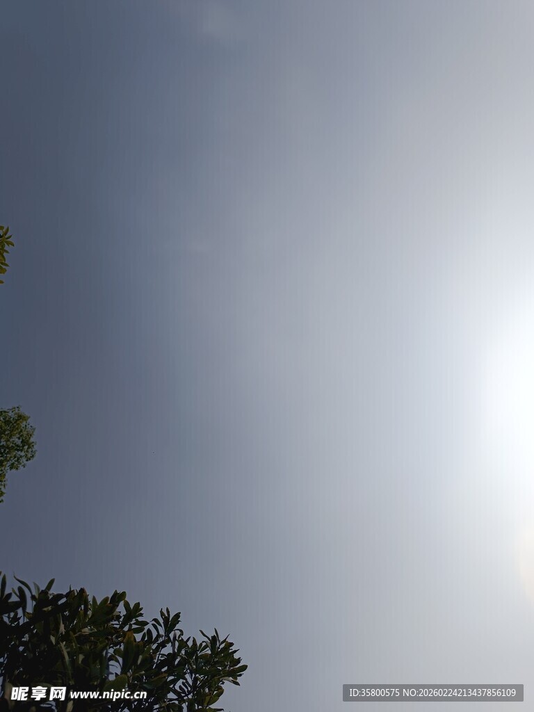 仰视天空中的明亮阳光