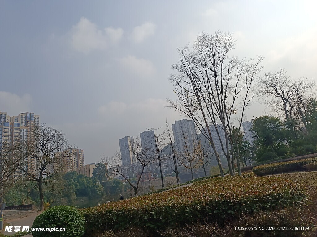 城市公园的冬日景致