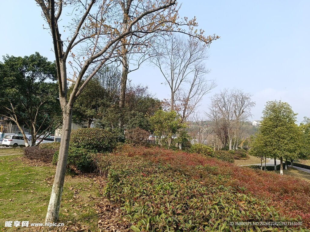 春日公园绿植景观