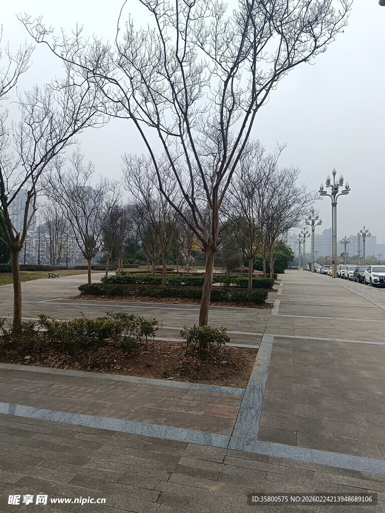 冬日公园空旷步道景象