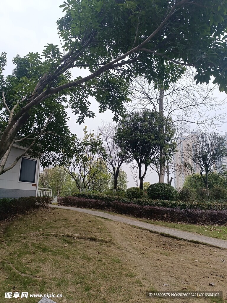 公园幽静小径与繁茂树木