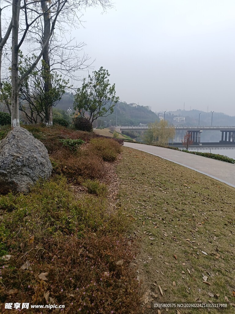 户外自然景观中的小路