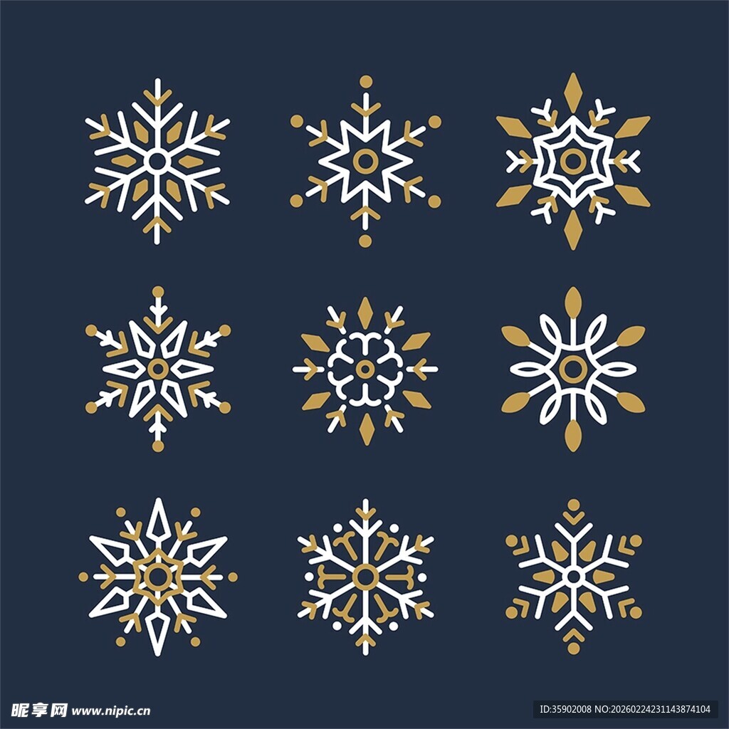 精美雪花图案设计元素