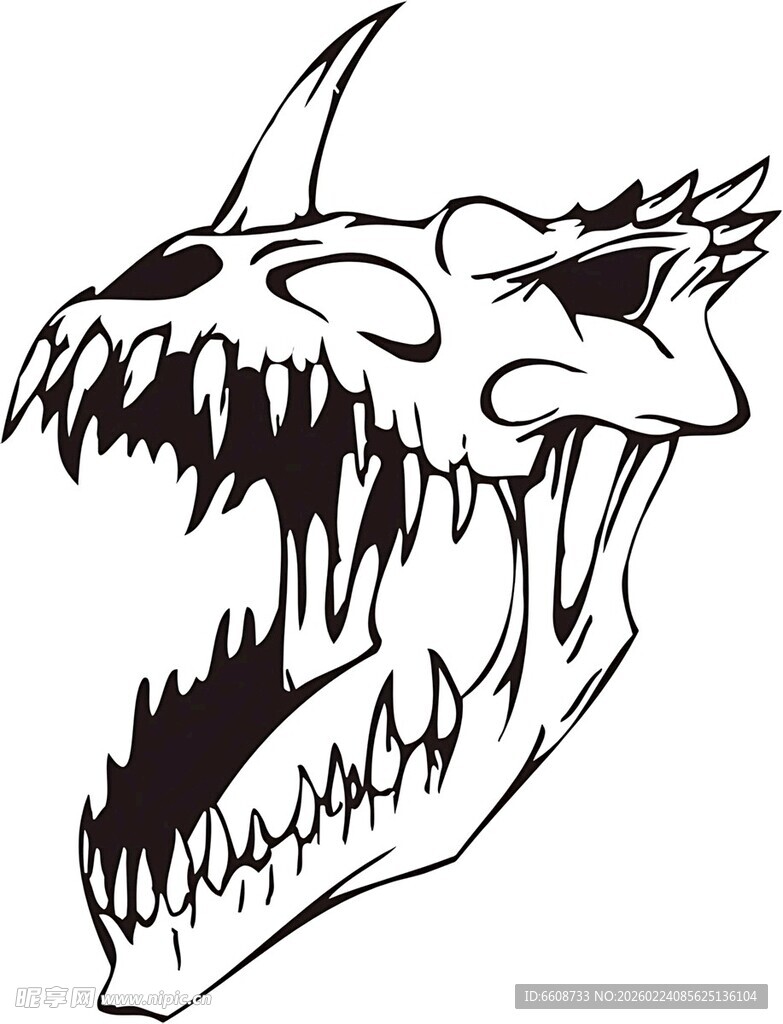 恐龙头骨插画