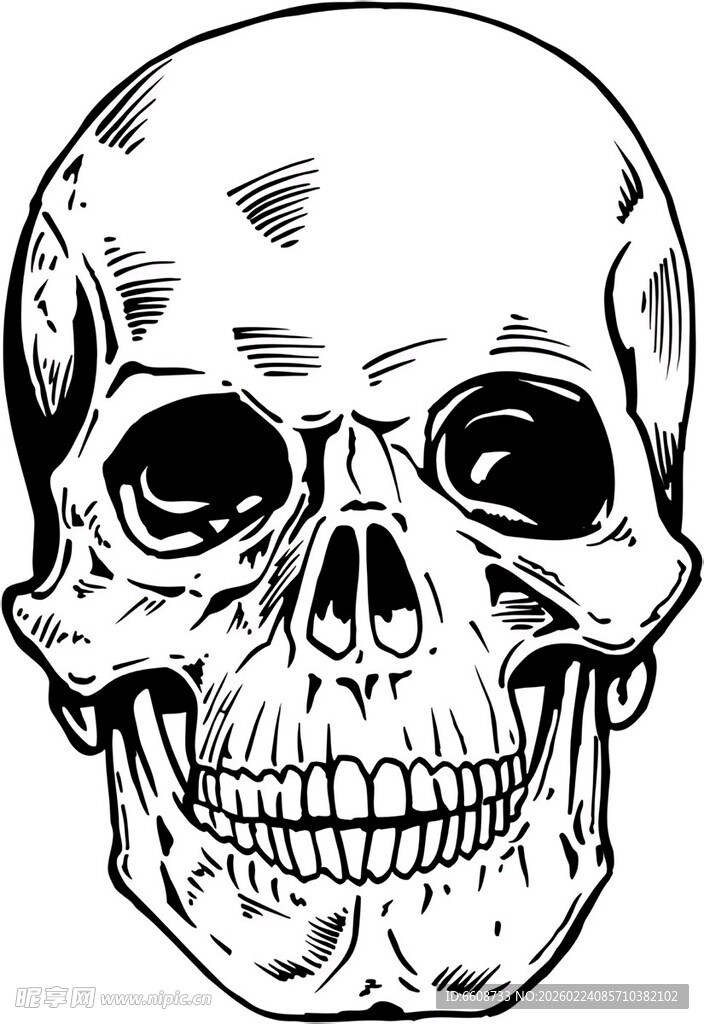 简约骷髅头插画