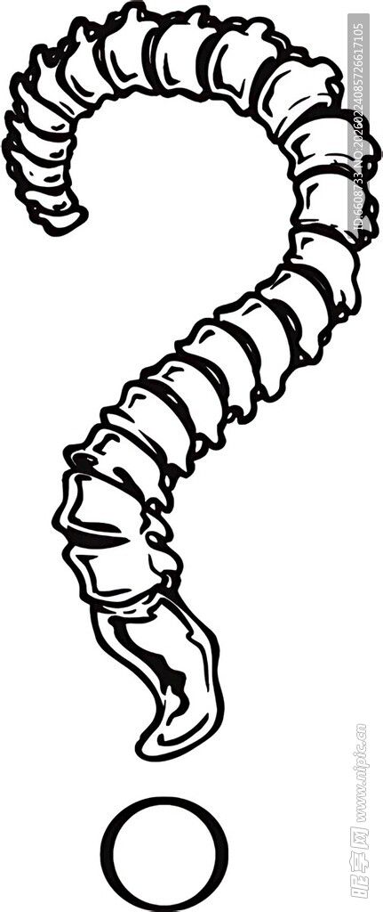 蛇形骨架问号图案