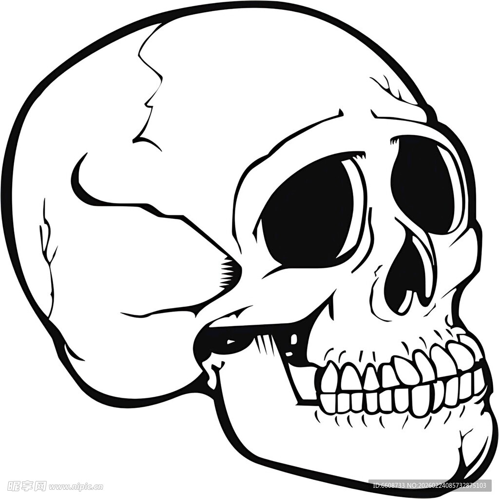 简约黑白骷髅头插画