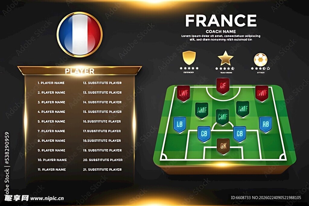 法国足球队辉煌战绩展示