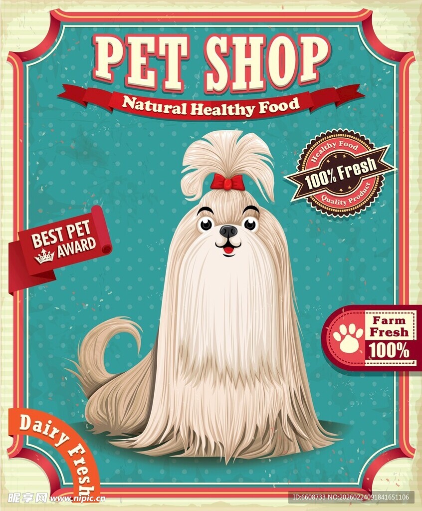 可爱宠物店内的长毛犬