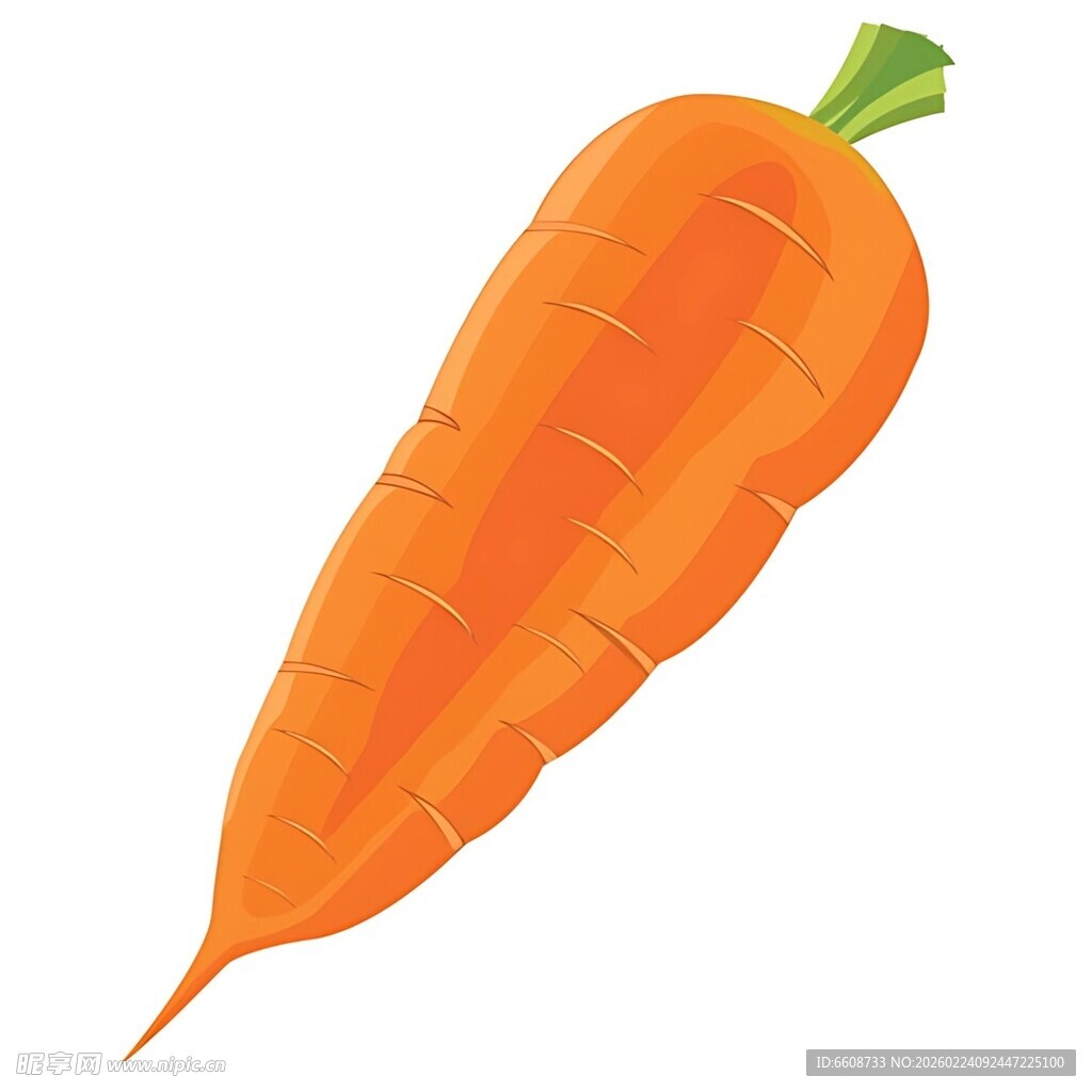 橙色胡萝卜插画