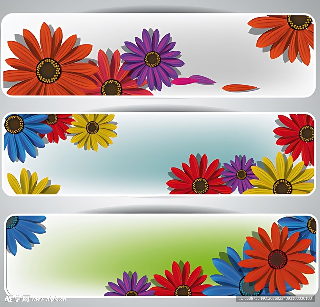 多彩花卉横幅设计素材