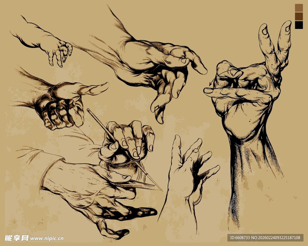 手部动态绘画参考图