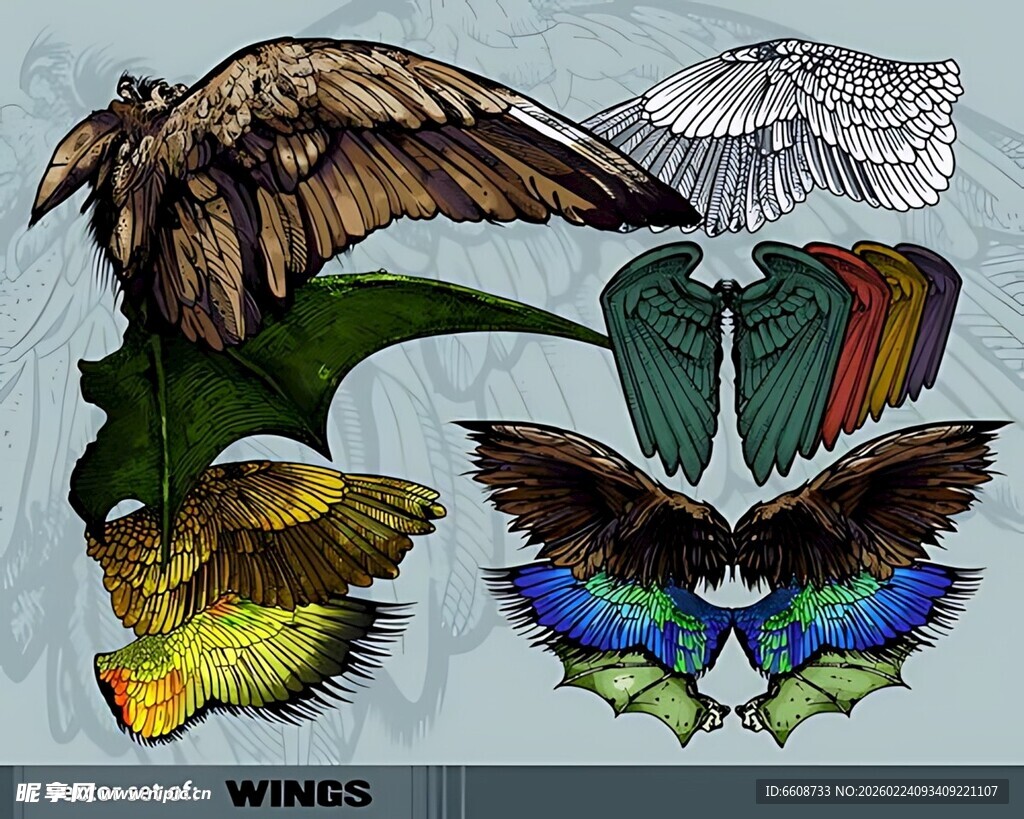 多样风格翅膀图案设计