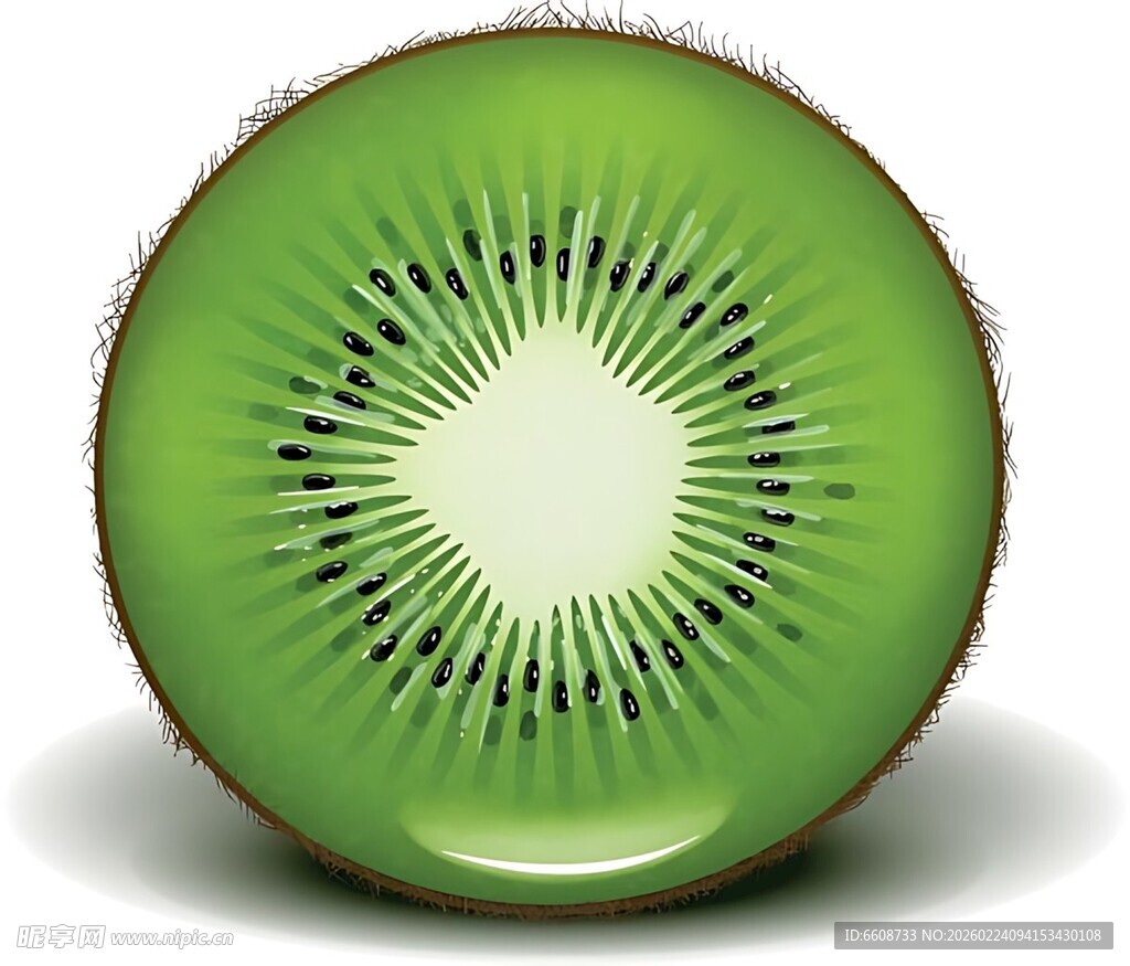 切开的翠绿猕猴桃