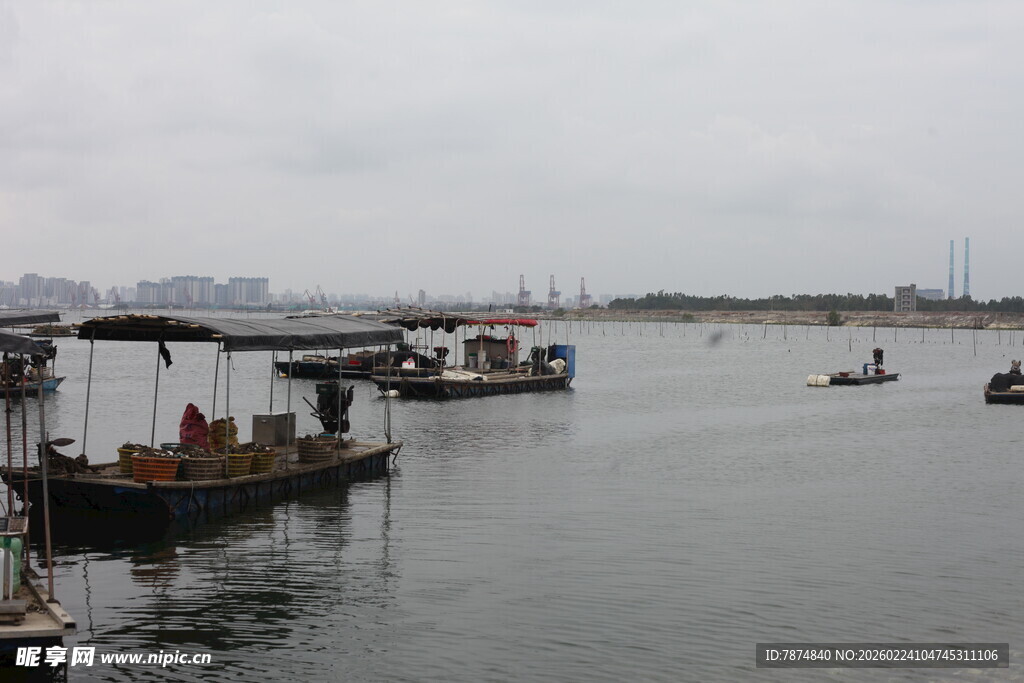 水上船只停泊的宁静场景
