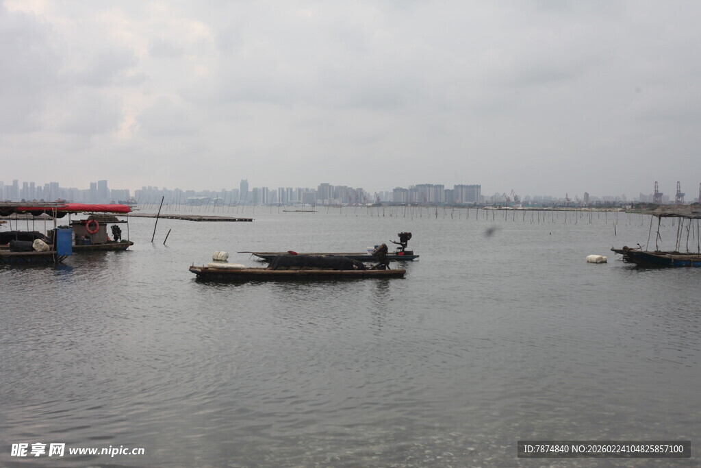 水面上的几艘小船