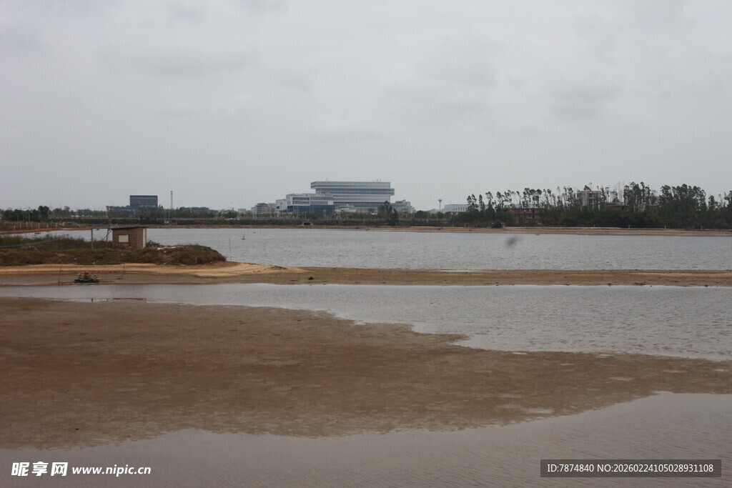 河岸景观 水域与远处建筑