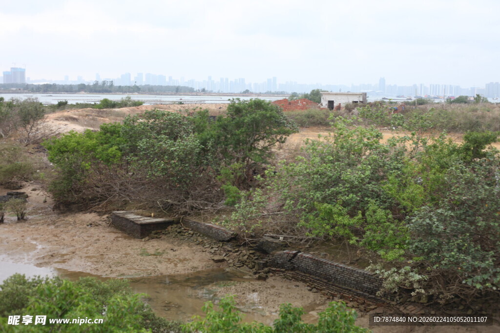 湿地自然风光景观图