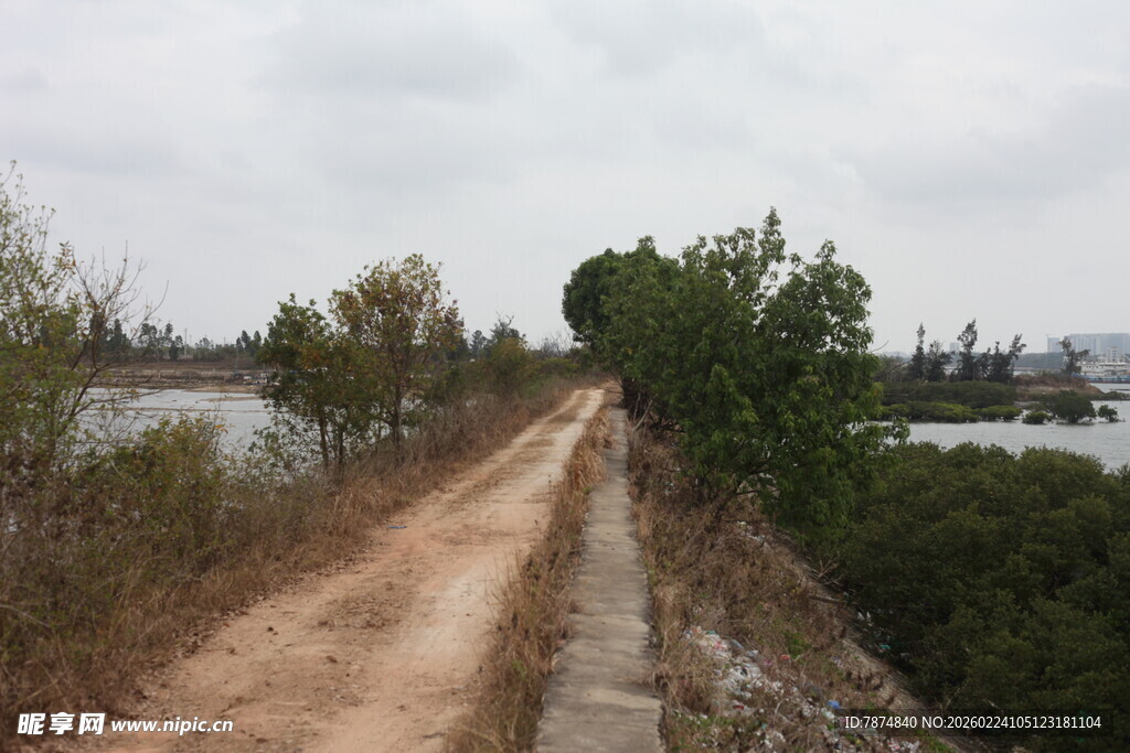 乡间泥泞小路 周边绿植环绕