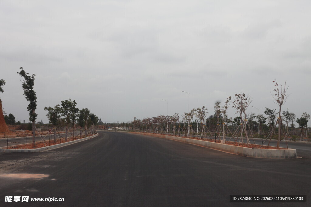 空旷道路 两旁稀疏树木