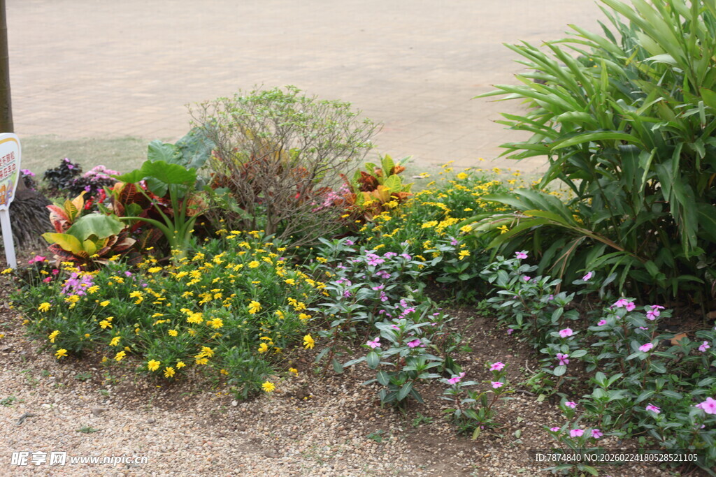 多彩庭院花卉景观
