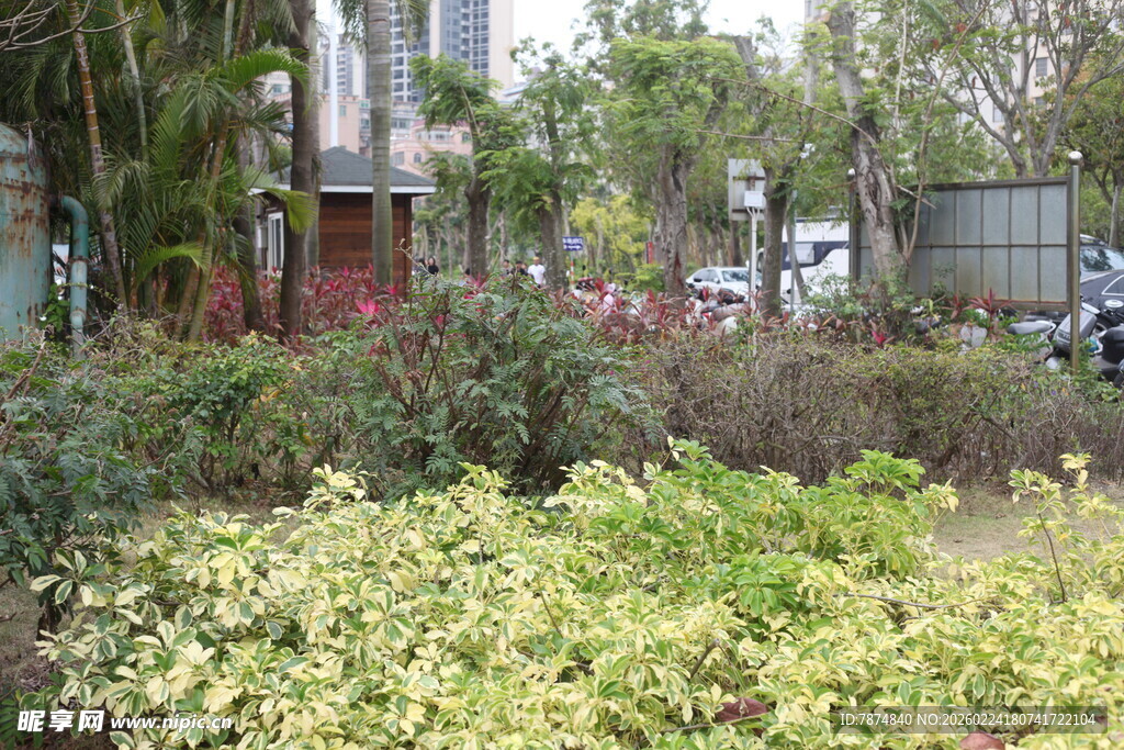 城市中的绿植景观角落