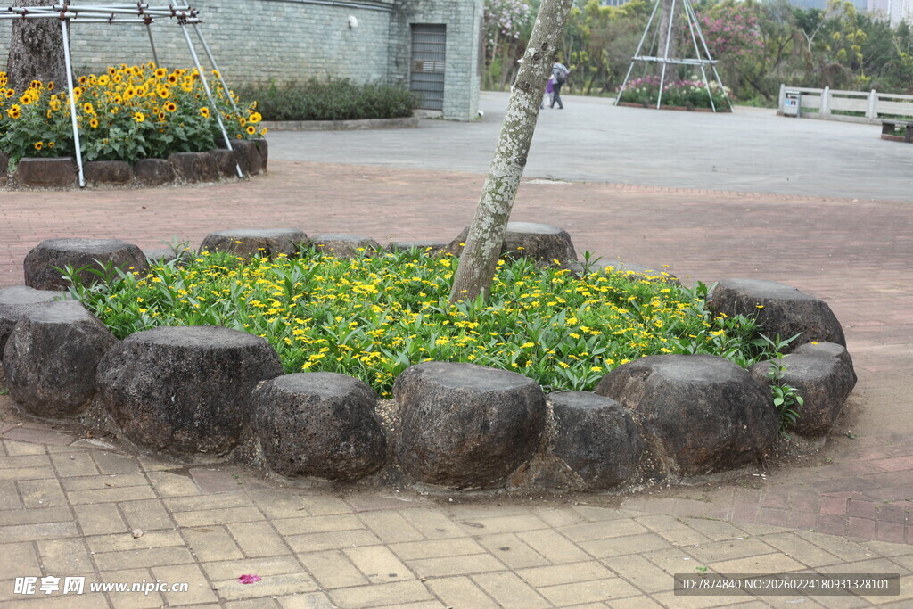 石砌花坛中的绿植景观