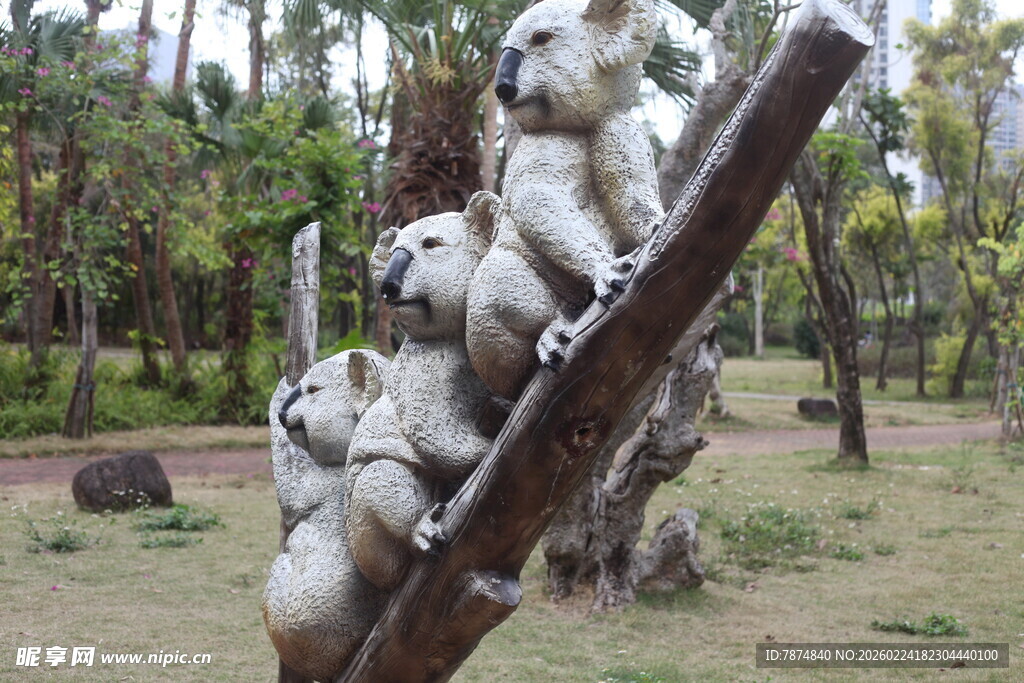 三只考拉攀附在树干上