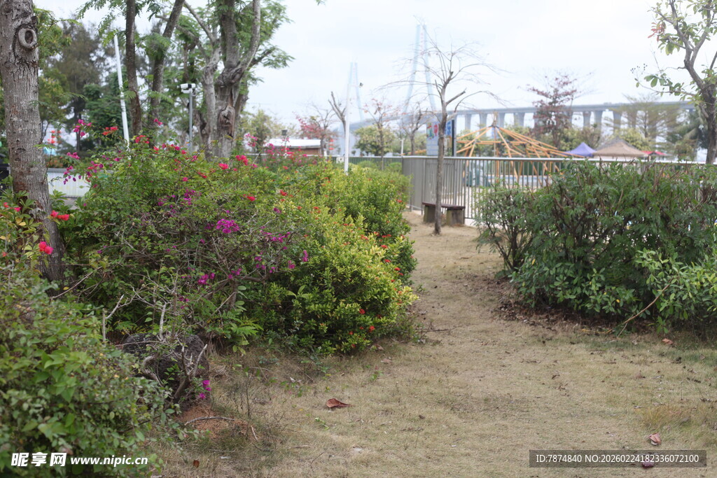 户外绿植环绕的小径