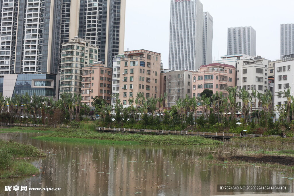 城市湖畔风景