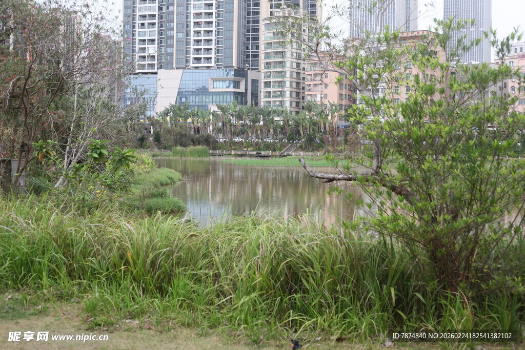 城市中的自然静谧小湖