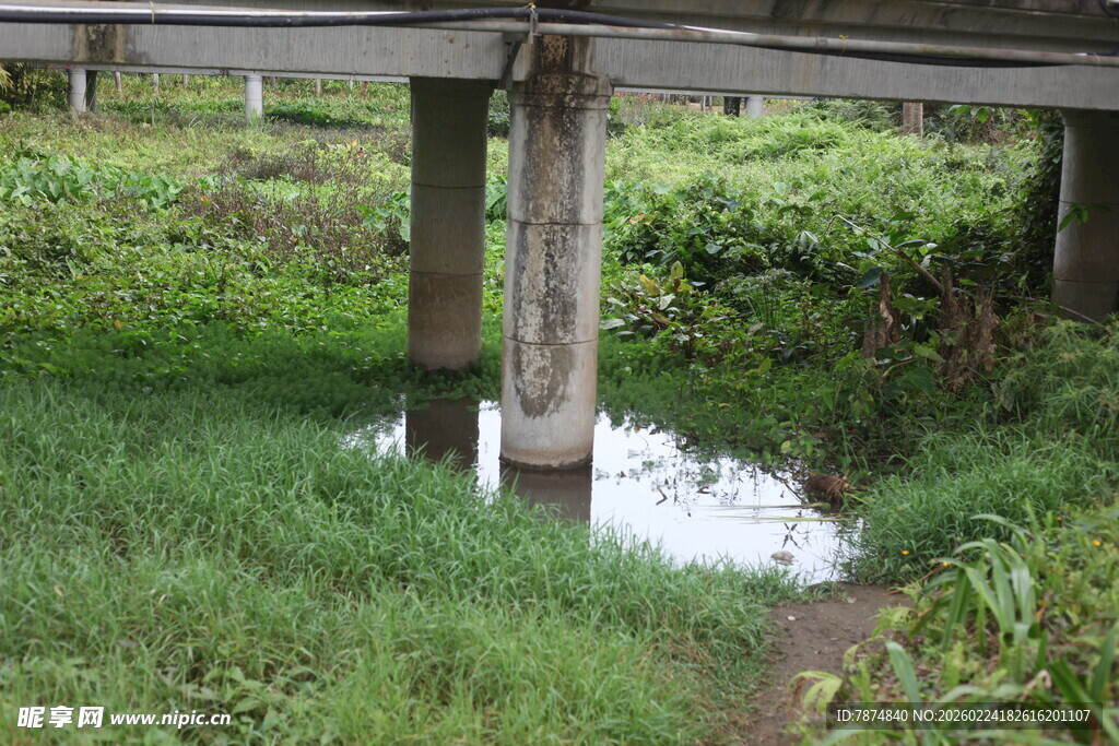 乡村木桥横跨潺潺溪流
