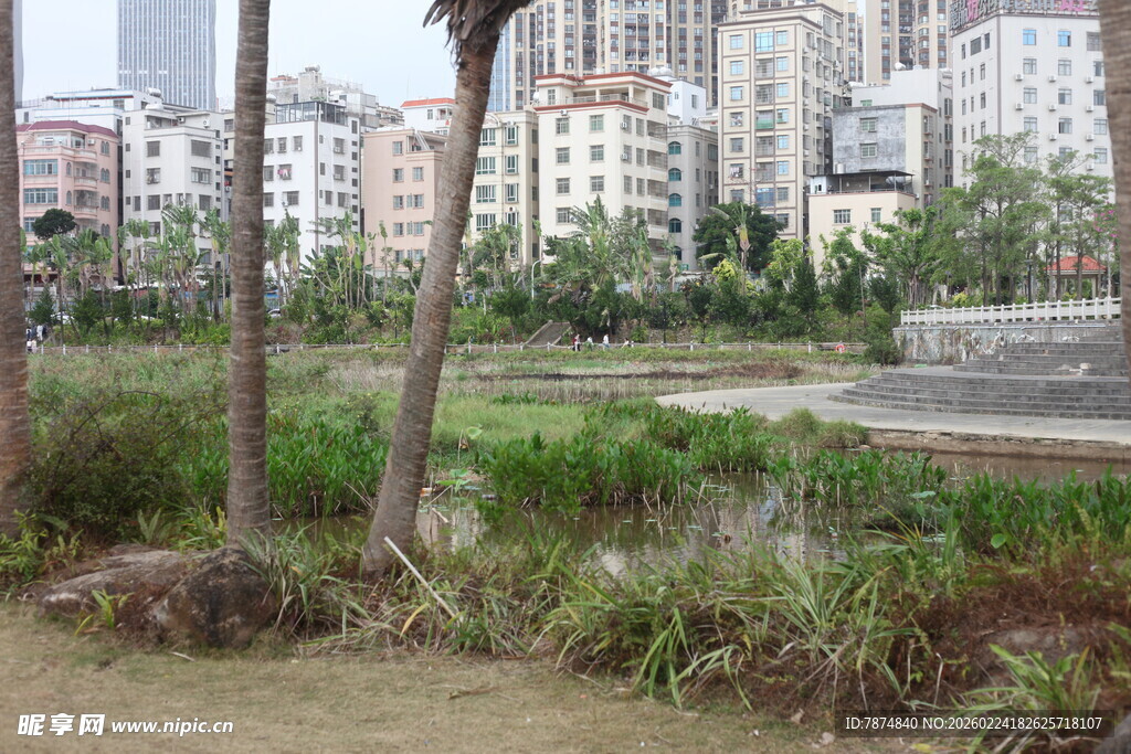 城市中自然与建筑景观