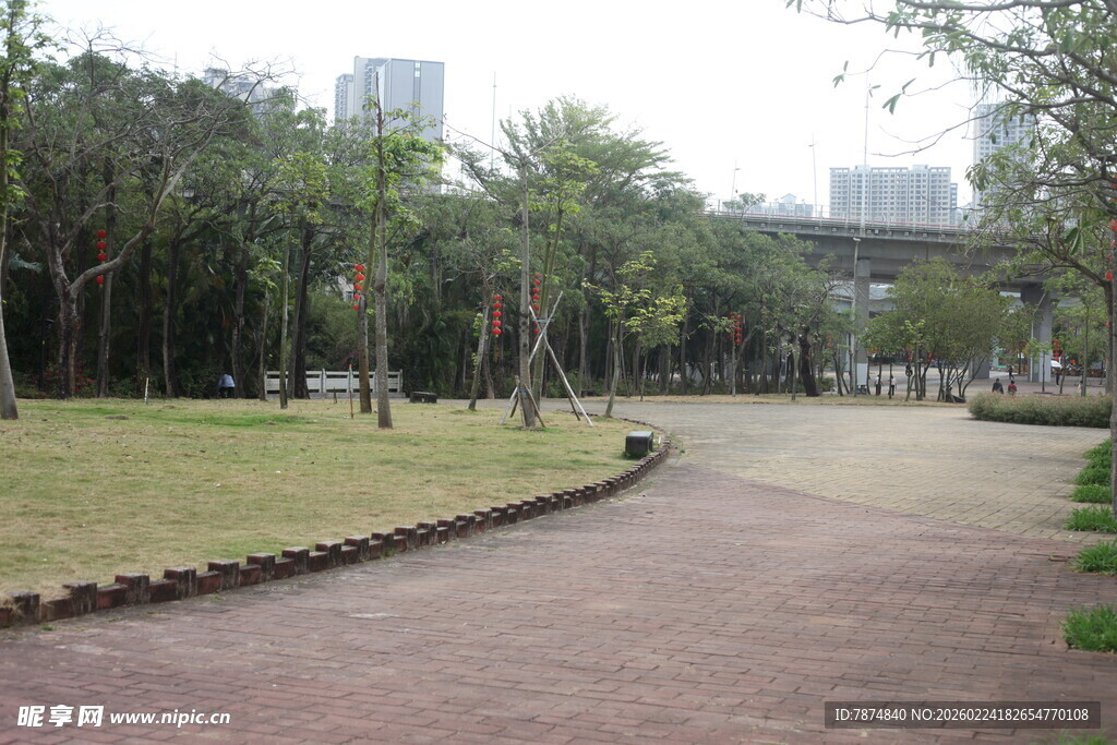 城市中的静谧林间小路