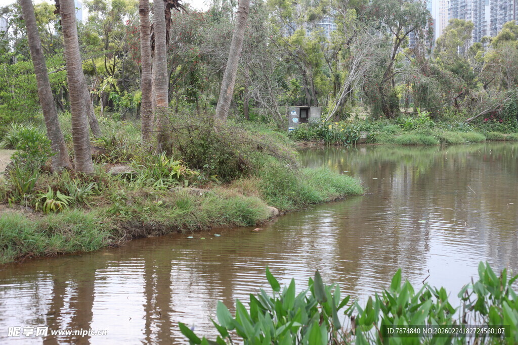 河畔绿植环绕的宁静水域